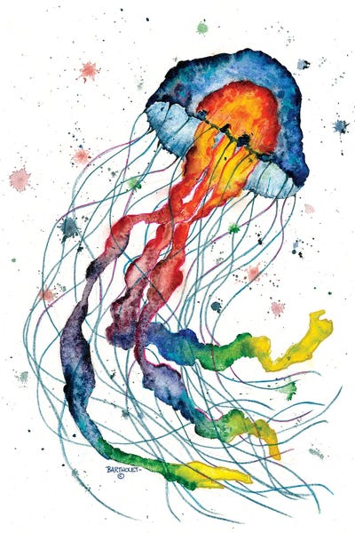 Dave Bartholet: Rainbow Jelly Fish by Dave Bartholet