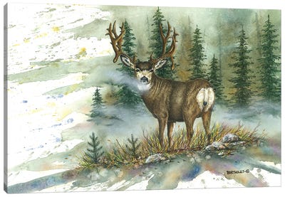Mulie Back Glance Canvas Art Print - Pine Tree Art