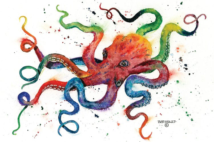 Rainbow Octopus by Dave Bartholet wall art