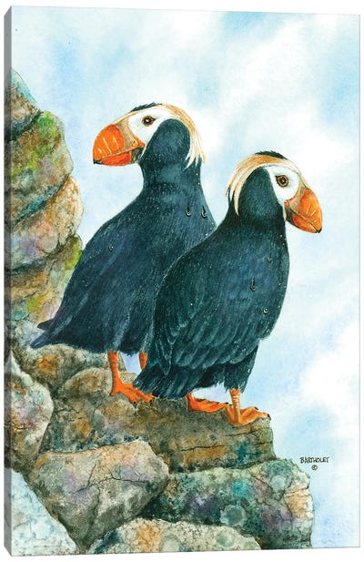 Tufted Puffins Canvas Art Print - Dave Bartholet