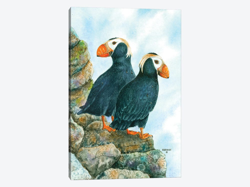 Tufted Puffins by Dave Bartholet 1-piece Canvas Wall Art