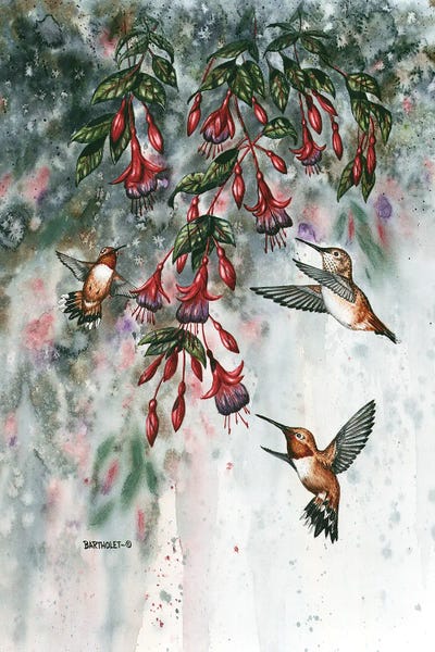 Garden Gems by Dave Bartholet metal wall art