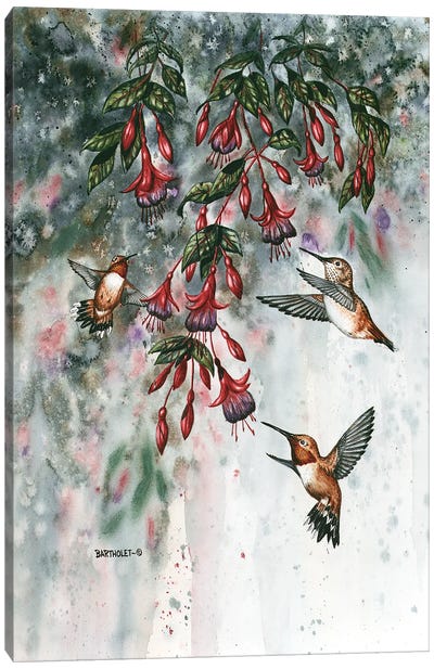 Garden Gems Canvas Art Print - Hummingbird Art