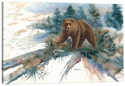 My Space Canvas Art Print - Bear Art