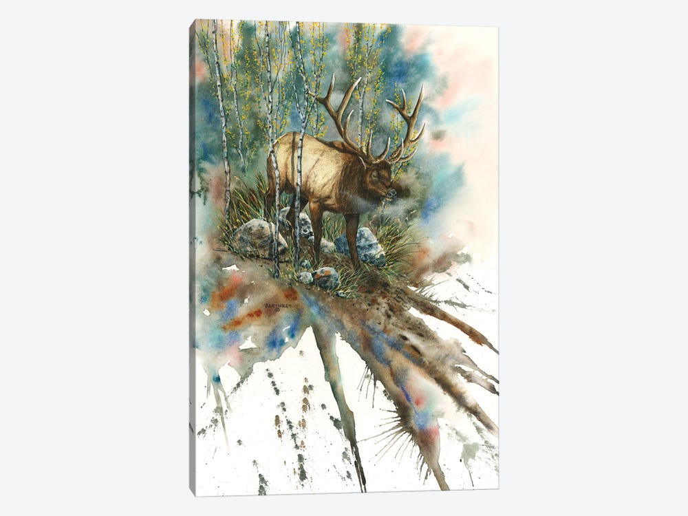 On A String by Dave Bartholet 1-piece Canvas Art