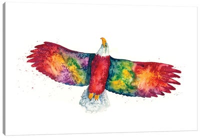 Rainbow Eagle Canvas Art Print - Dave Bartholet