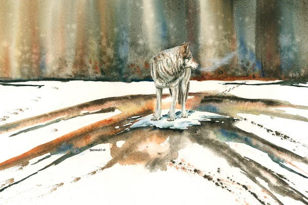 Dave Bartholet: The Trek by Dave Bartholet