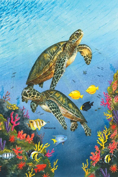 Dave Bartholet: Paradise by Dave Bartholet