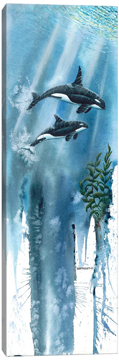 Orcas Canvas Art Print - Whale Art