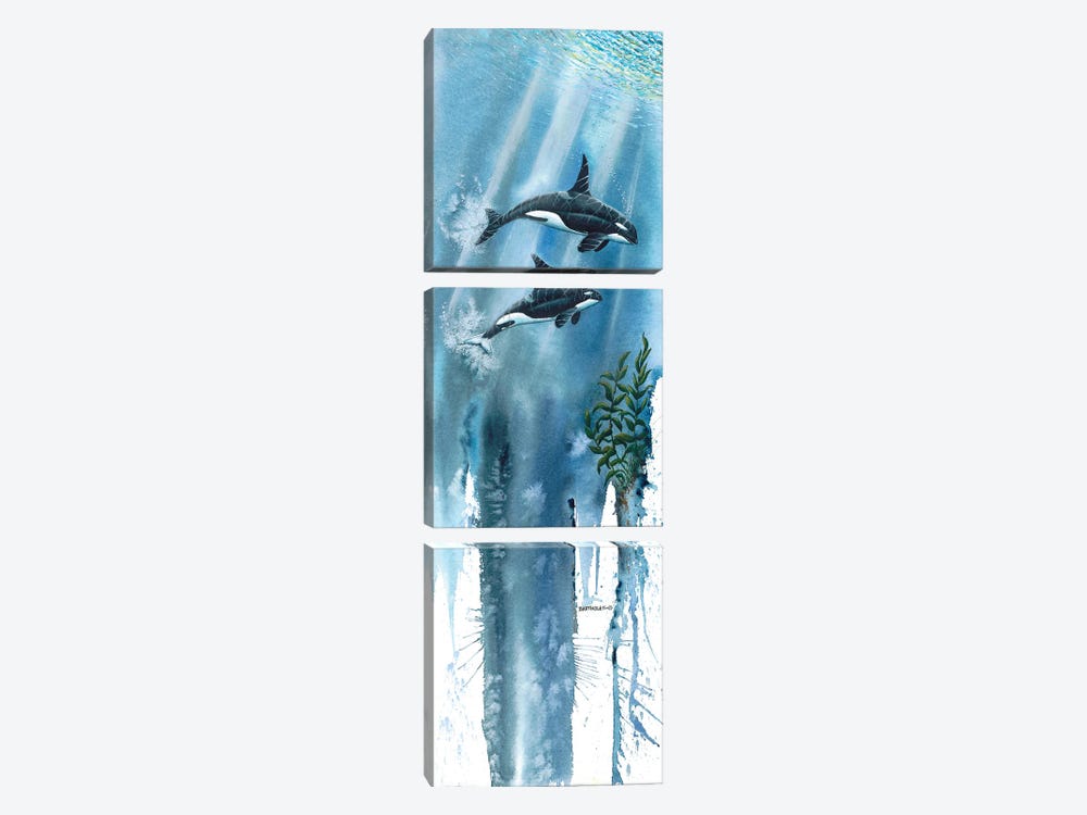 Orcas by Dave Bartholet 3-piece Canvas Art