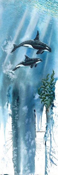 Dave Bartholet: Orcas by Dave Bartholet
