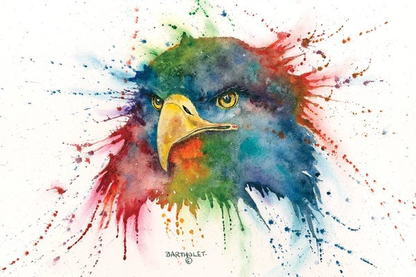 Dave Bartholet: America by Dave Bartholet