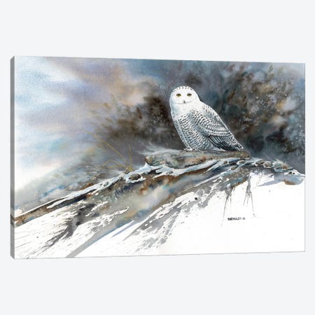 Arctic Ghost Canvas Print #DBT27} by Dave Bartholet Canvas Print