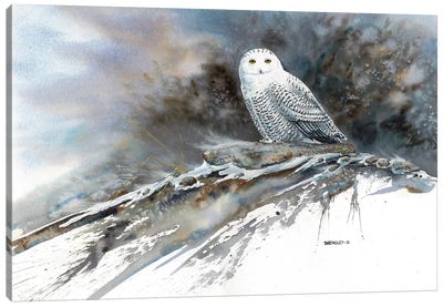 Arctic Ghost Canvas Art Print - Dave Bartholet