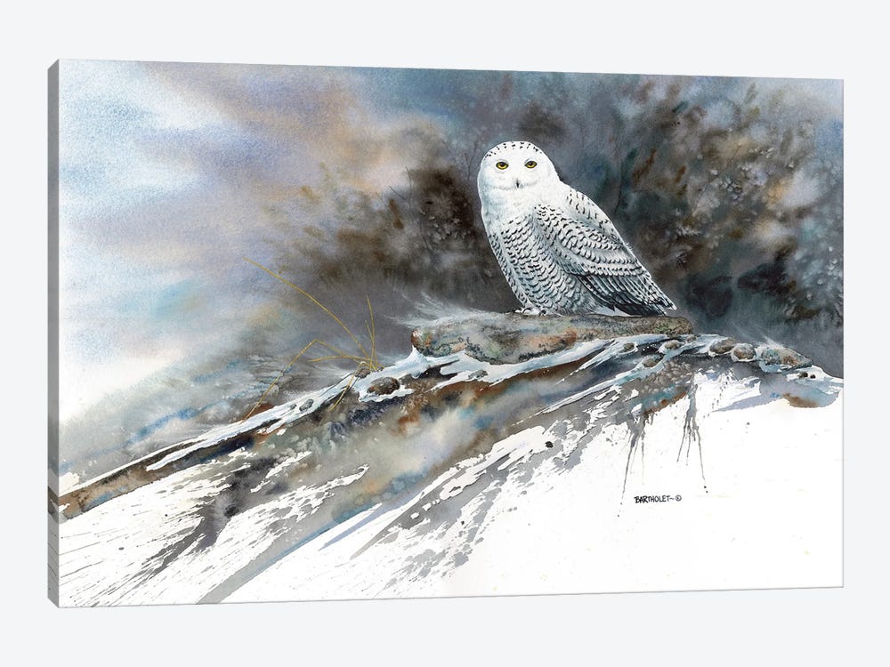 Arctic Ghost by Dave Bartholet 1-piece Canvas Artwork