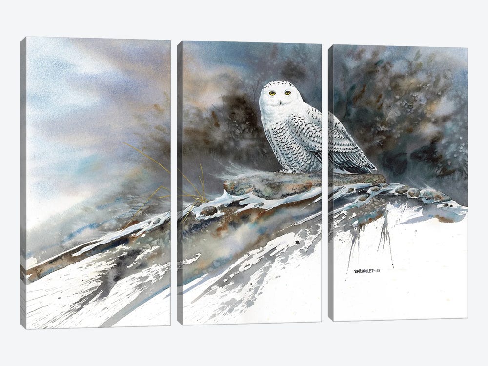 Arctic Ghost by Dave Bartholet 3-piece Canvas Artwork