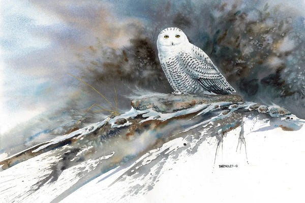 Arctic Ghost