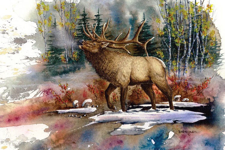 Autumn Music by Dave Bartholet canvas print