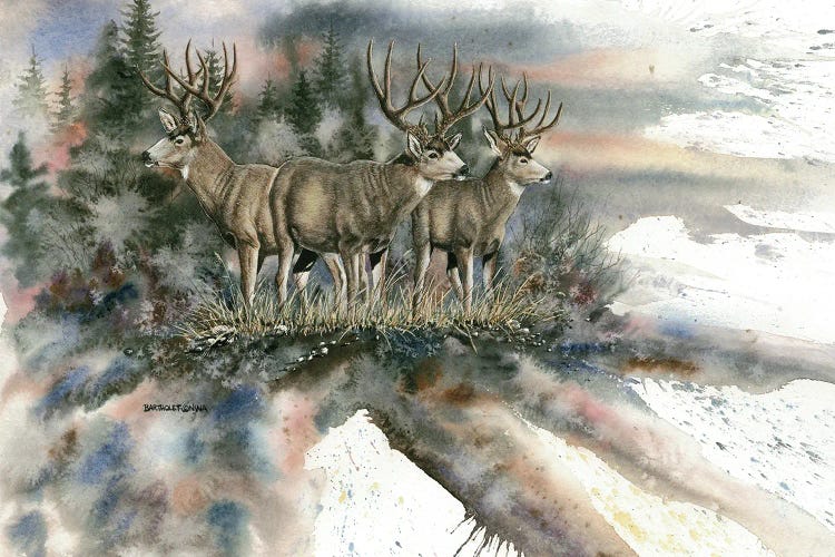 Battle Mountain Bucks Art Print By Dave Bartholet | Icanvas