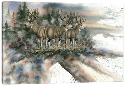 Battle Mountain Bucks Canvas Art Print - Dave Bartholet