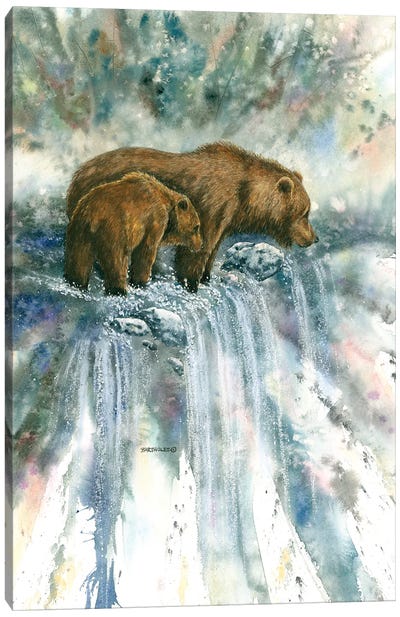 Bear Pause Canvas Art Print - Dave Bartholet