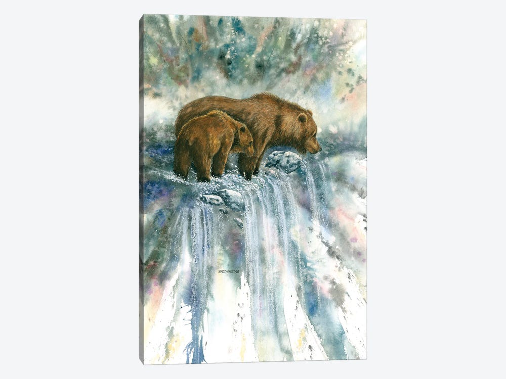 Bear Pause by Dave Bartholet 1-piece Canvas Print