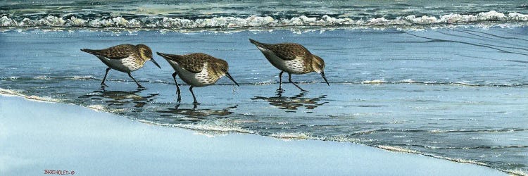 Breakfast At The Beach by Dave Bartholet wall art