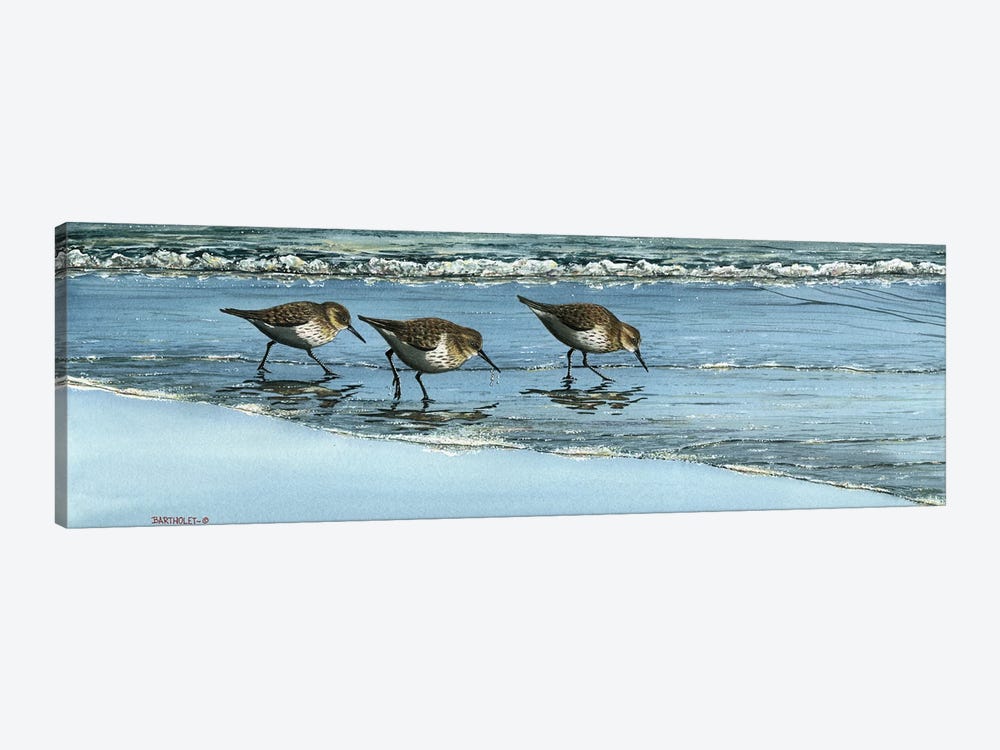 Breakfast At The Beach by Dave Bartholet 1-piece Canvas Wall Art