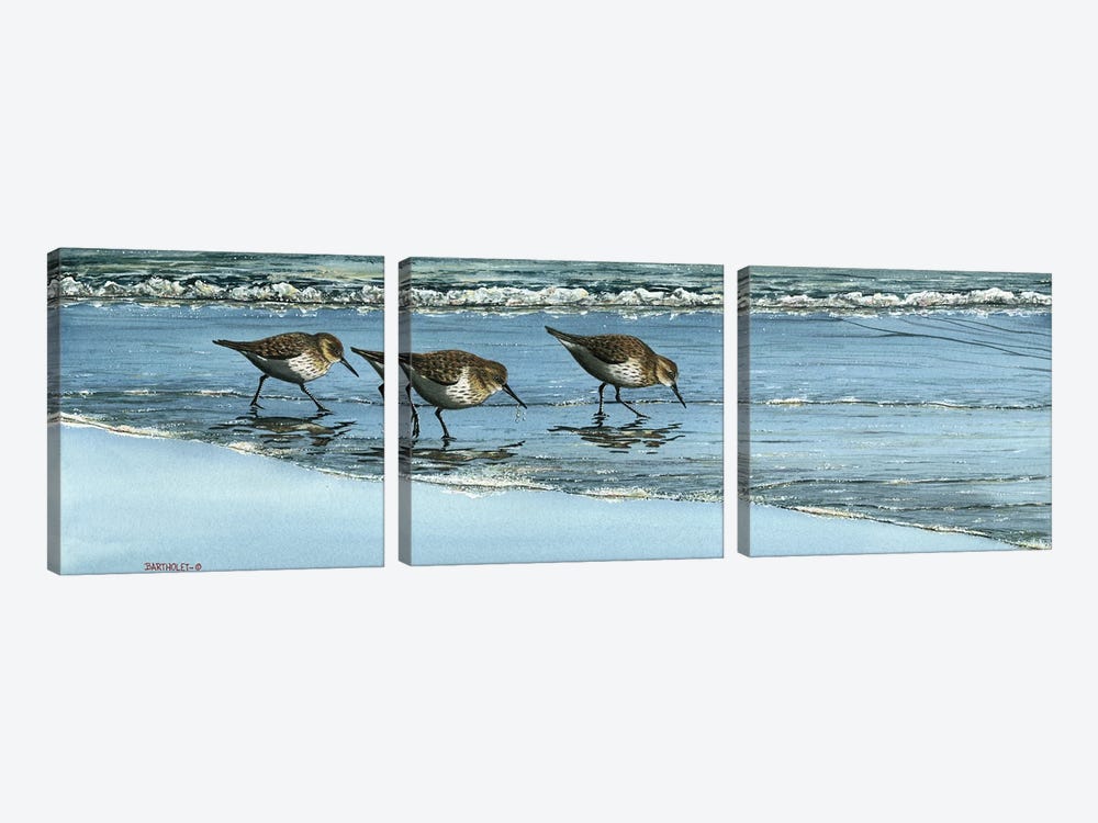 Breakfast At The Beach by Dave Bartholet 3-piece Canvas Art