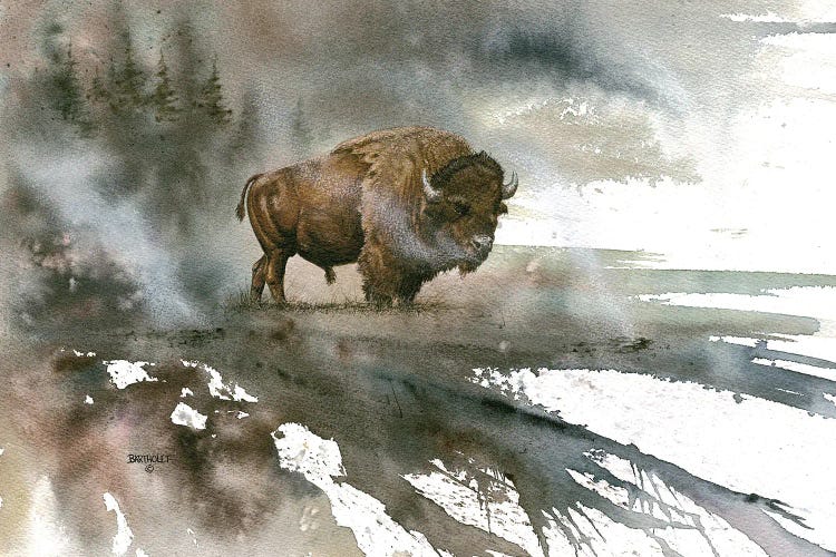 Bison by Dave Bartholet wall art