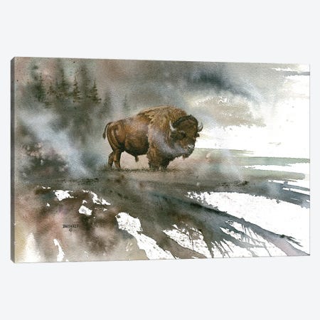 Bison Canvas Print #DBT34} by Dave Bartholet Canvas Art