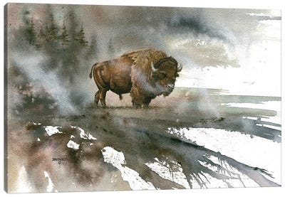 Bison Canvas Art Print - Rustic Décor