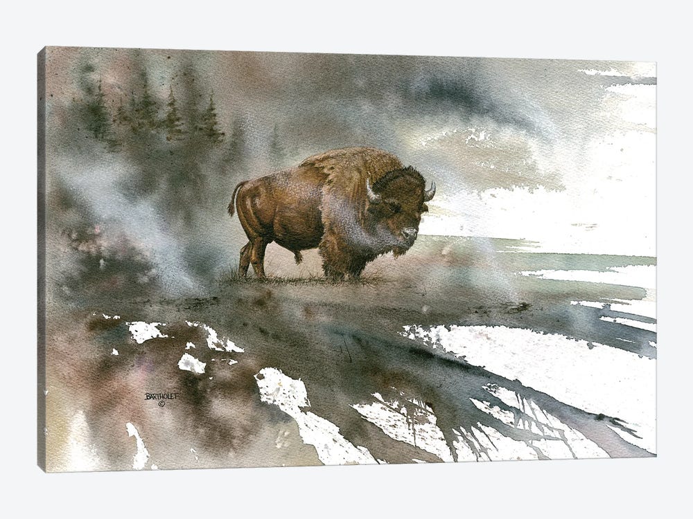 Bison by Dave Bartholet 1-piece Canvas Artwork
