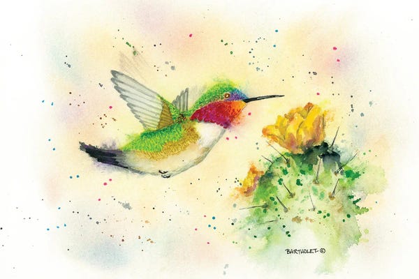 Dave Bartholet: Cactus Fly By by Dave Bartholet