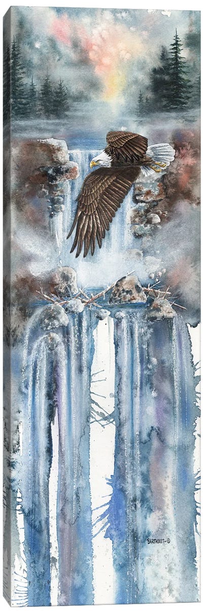 Cascade Flight Canvas Art Print - Eagle Art