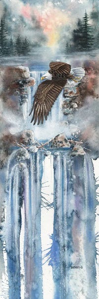 Dave Bartholet: Cascade Flight by Dave Bartholet