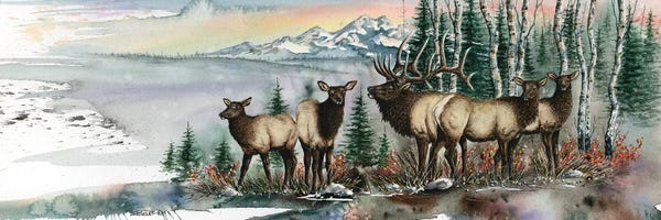 Dave Bartholet: Clear Cut Bull by Dave Bartholet