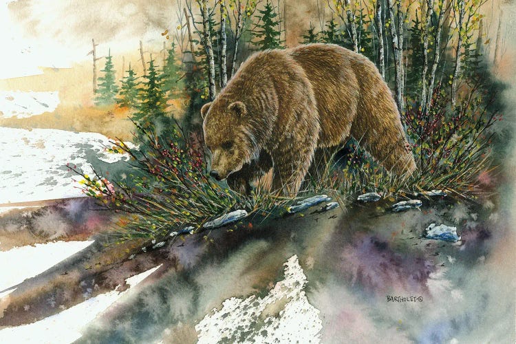 Huckleberry Grizz