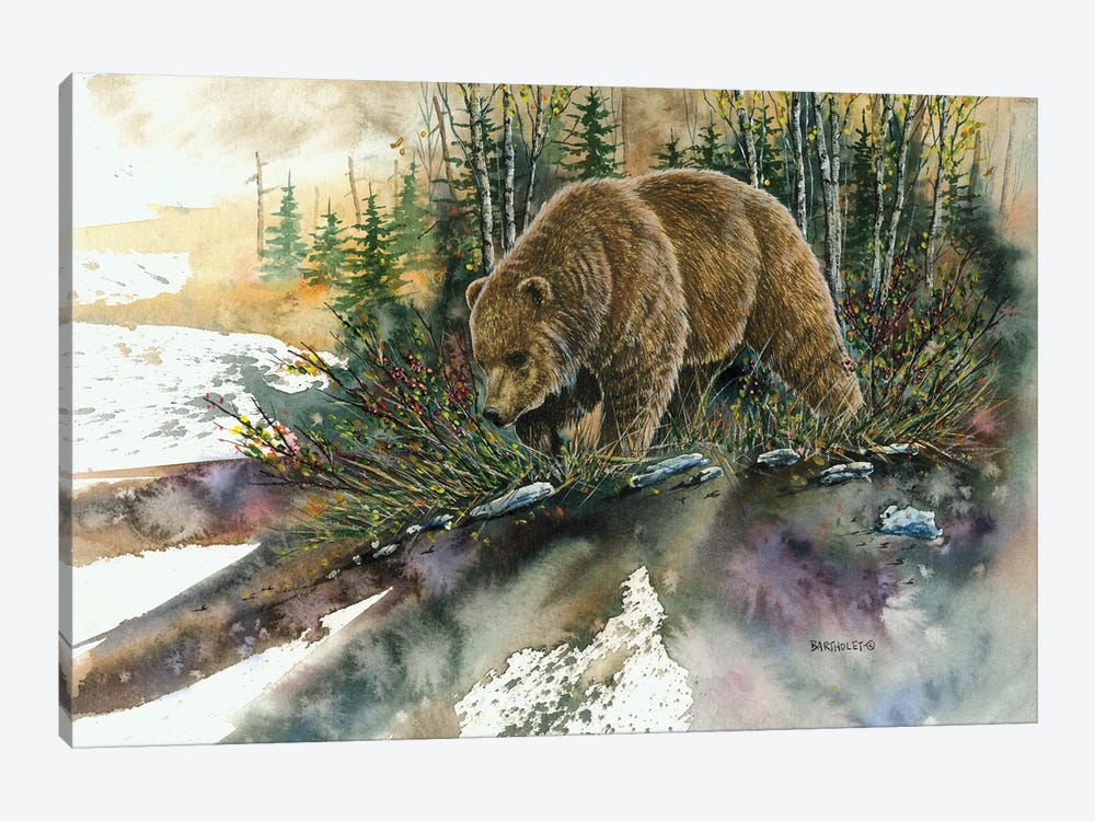 Huckleberry Grizz by Dave Bartholet 1-piece Canvas Wall Art