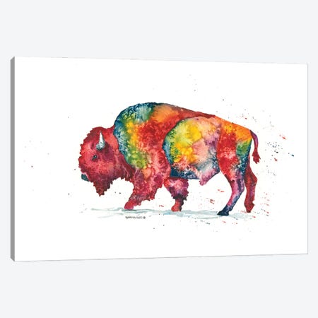 Rainbow Bison Canvas Print #DBT4} by Dave Bartholet Canvas Art