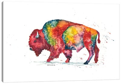 Rainbow Bison Canvas Art Print - Dave Bartholet