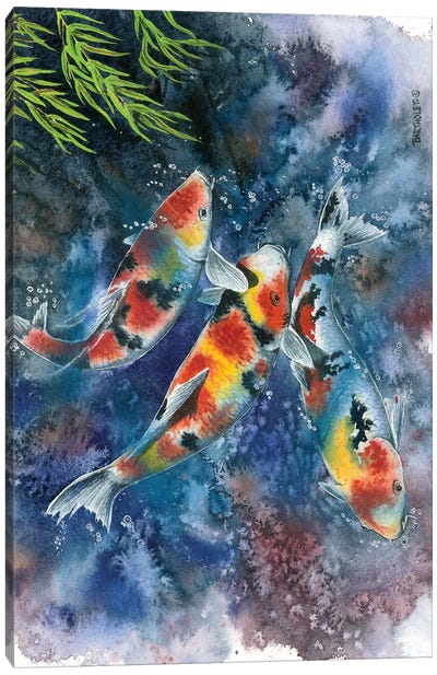 Koi Joi Canvas Art Print - Koi Fish Art