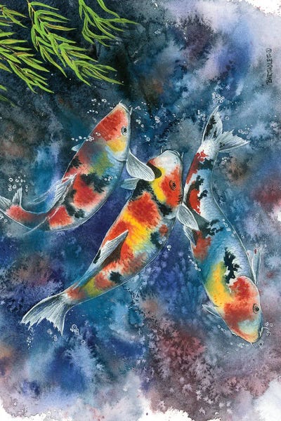 Dave Bartholet: Koi Joi by Dave Bartholet