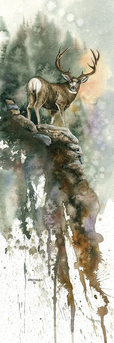 Last Light Muley by Dave Bartholet canvas print