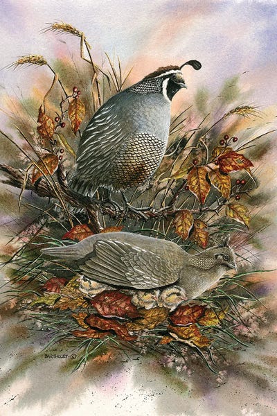 Late Clutch by Dave Bartholet metal wall art