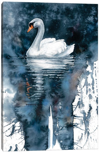Amazing Grace Canvas Art Print - Swan Art