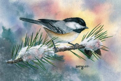 Little Flitter by Dave Bartholet canvas print