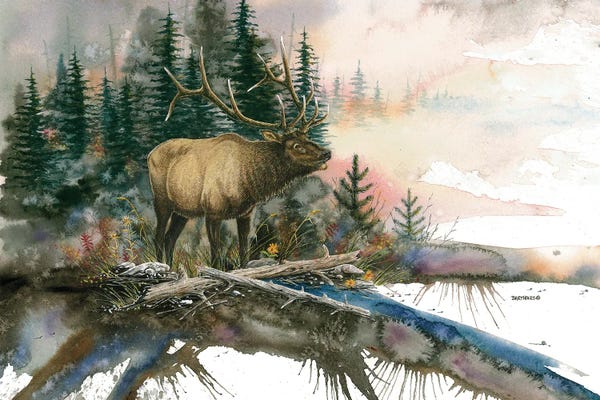 Dave Bartholet: Mike's Bull by Dave Bartholet