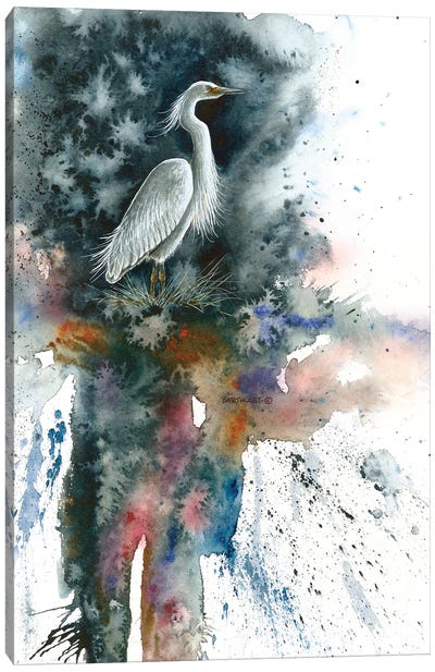Misty Egret Canvas Art Print - Dave Bartholet
