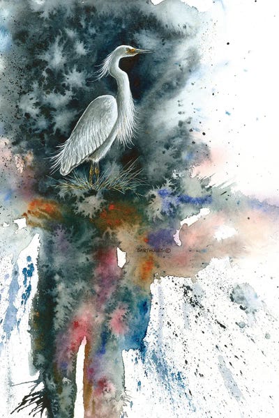 Dave Bartholet: Misty Egret by Dave Bartholet